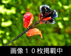 ムラノガラス Murano Glass 一輪 薔薇 バラ 硝子 ディスプレイ 置物 飾り 画像10枚掲載中