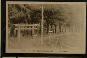 13924 戦前 絵葉書 秋田 八森名所 郷社 白瀑神社 社頭の杉木立 鳥居