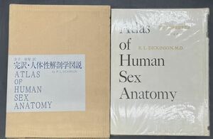 ■初版■完訳・人体性解剖学図説■ロバート・L・ディッキンソン■金子栄寿(訳)■久保書店■昭42年■解剖学■状態良好■