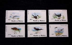 モルジブ切手　鳥・６種未使用　チドリ類カモメ科ほか　1980年