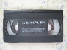 VHS 版「SUGA SHIKAO/1095」 中古美品 送料無料_画像4