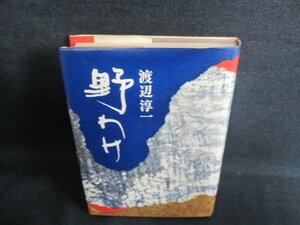 野わけ　渡辺淳一　シミ日焼け強/GCG