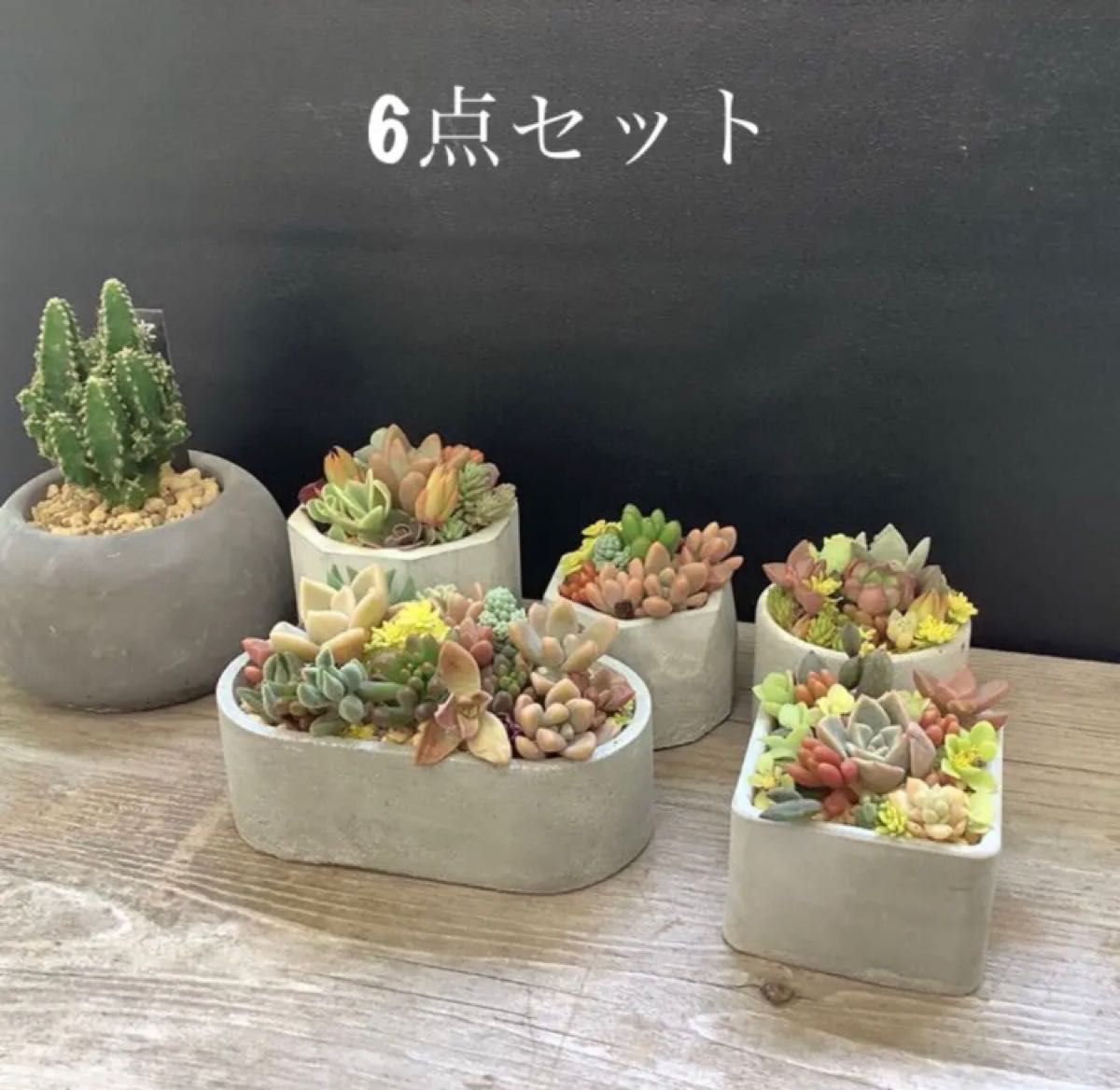 96%OFF!】 32cm アンティーク 可愛い 鉢植え 鉢 植木鉢 黒色 asakusa