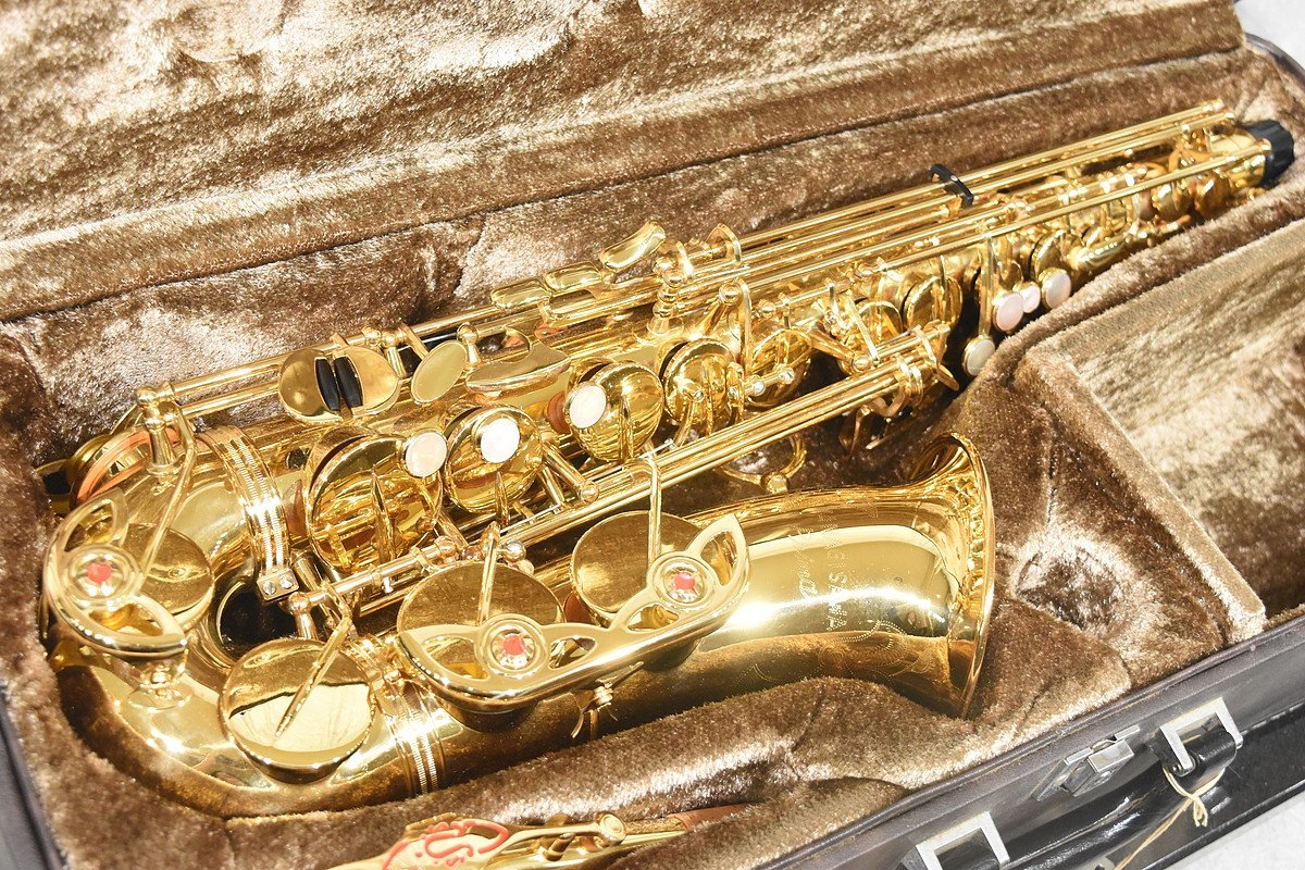 アル様専用 ヤナギサワ アルトサックス900 クーポン激安 ciial.org.uy