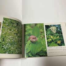 『さいはての花』日本国有鉄道旭川鉄道管理局 高橋秀雄 松林三顕 SL アツモリソウ 植物 オホーツク 北海道北部 利尻礼文 網走 天売焼尻_画像4