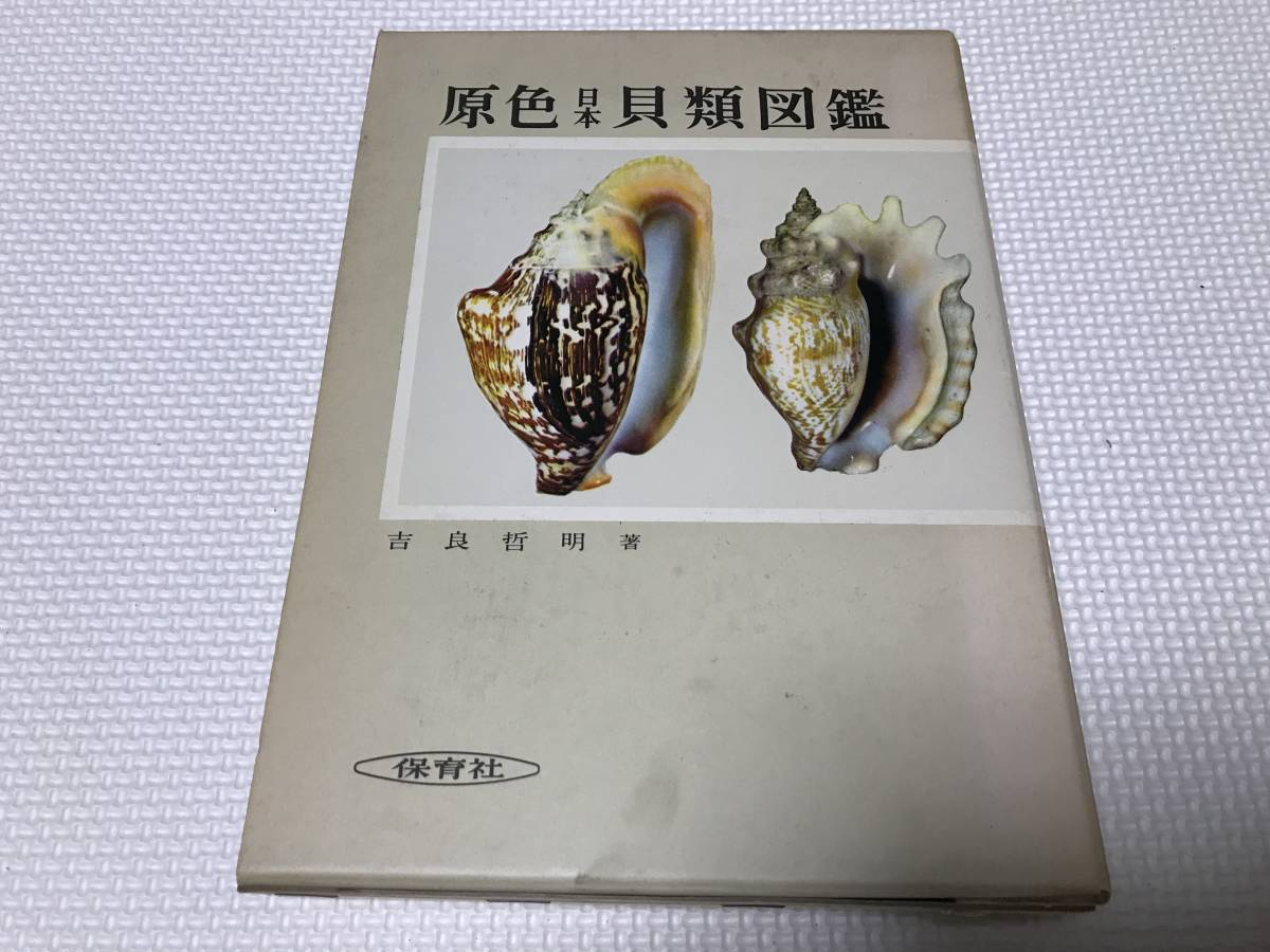 ヤフオク! -「原色日本貝類図鑑」の落札相場・落札価格