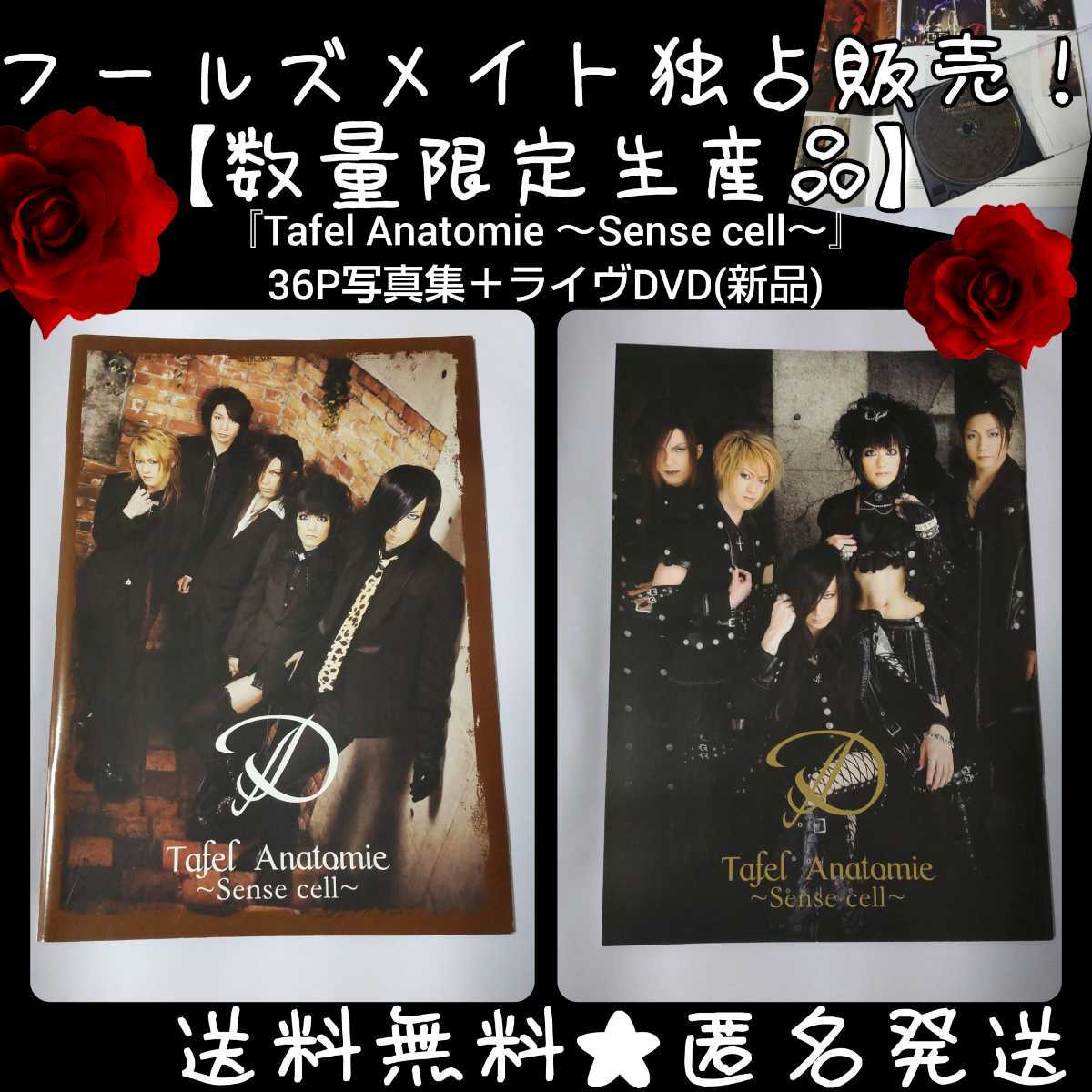 レア☆Shelly Tic-珈琲店-【フールズメイト通販限定】CD等☆V系