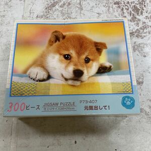 未開封新品　デッドストック　倉庫保管品　ジグソーパズル　ビバリー　犬　元気出して！　P73-407 26x38 300P