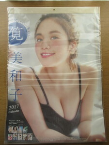 カレンダー 筧美和子 2017年 新品