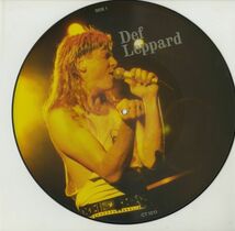 レア！ピクチャー盤！UK88年プレス12インチ Def Leppard /The Chris Tetley Interviews【Fotodisk CT 1011】デフ・レパード インタビュー_画像3