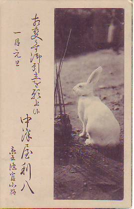 ♯U2 Bildpostkarte Neujahrskarte Kaninchen Nishijin Kanto Textil-Obi-Großhändler, Drucksache, Postkarte, Postkarte, Andere
