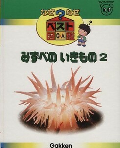 みずべのいきもの２ なぜなぜベスト図鑑６／学習研究社