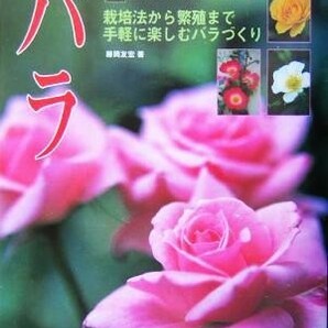 バラ 栽培法から繁殖まで、手軽に楽しむバラづくり よくわかる図解園芸シリーズ／藤岡友宏(著者)の画像1