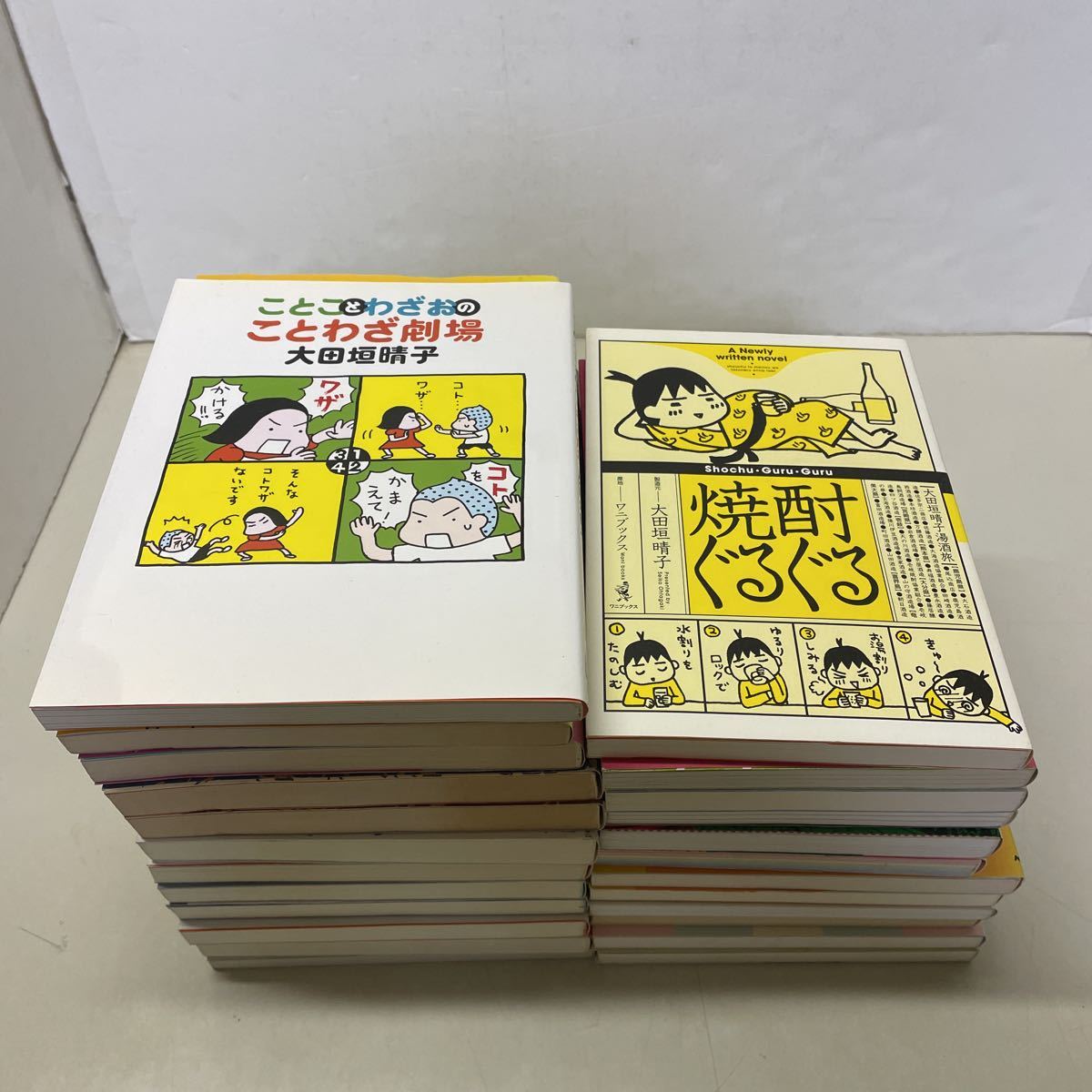 ヤフオク! -大田垣 晴子の中古品・新品・未使用品一覧