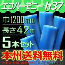 ※北海道・沖縄・離島を除く。