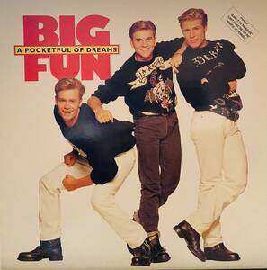 PWL/Big Fun-A Pocket Full Of Dreams-/ビッグ.ファン-ポケットいっぱいの夢/Blame It On The Boogie(12”Remix)含むLPレコード。