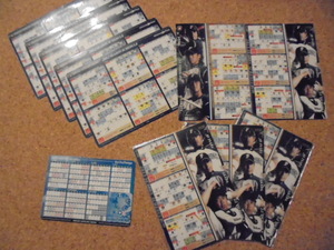 10 piece * not for sale [* magnet contest ske Jules ][2009 year 2012 year 2013 year ]* Sapporo dome * Fighter z* baseball * day ham * collection 