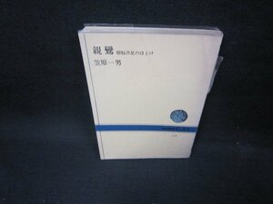 親鸞　笠原一男　NHKブックス　カバー破れ有/FBZI