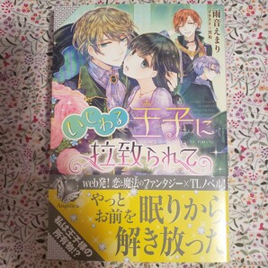 いじわる王子に拉致られて （アンジェリカ　ア２－０１） 雨音えまり／著