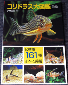 ★美品在庫1即納★コリドラス大図鑑(新版)｜ ナマズの仲間 記載種161種類+未記載種 飼育 飼い方 水槽レイアウト 繁殖 熱帯魚 アクアライフ