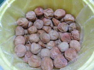 < free shipping > new thing no addition .. south height plum white dried . pan production A class 5L approximately 7 kilo .