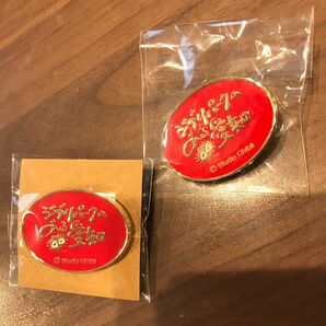缶バッジ ジブリパーク レア