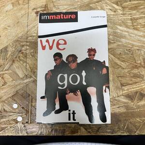 イ HIPHOP,R&B IMMATURE - WE GOT IT INST,シングル TAPE 中古品