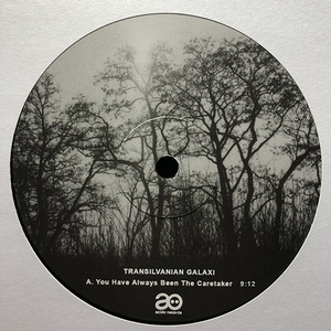 Transilvanian Galaxi / You Have Always Been The Caretaker [Acido Records acido records 010] Ambient