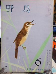 野鳥 333号　今月の鳥・アマサギ　くろつぐみ　山頂の歌碑・加藤シヅエ　愛知県下のカワセミ　秩父で越冬するカワセミ　外国産鳥類　