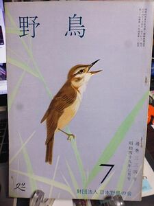 野鳥 334号　今月の鳥・アカアシシギ　韓国探鳥記　野どりから野鳥へ・二葉亭の訳文に見る野どり　河口湖畔のオオヨシキリ　