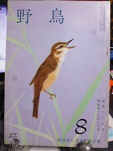 野鳥 335号　今月の鳥・オグロシギ　韓国探鳥記　鹿島槍ヶ岳と雷鳥　七ツ島の鳥相を調査して　ツルの人工増殖及び飼育　野鳥と鞍馬天狗　