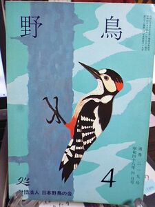 野鳥 319号　北海道の野鳥保護のために　茨城県における鳥獣法違反の実例　小櫃川河口の冬鳥　ガンの渡来記録　カエルの声を聞く会　