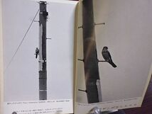 野鳥 323号　座談会・生態写真撮影のモラル　南アルプス北岳周辺鳥類の垂直分布　インドの野鳥管見　高縄山の探鳥会　無事だったアホウドリ_画像2