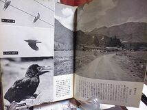 岩波写真文庫31　山の鳥　春夏の山　山麓の鳥　低　山帯の鳥　亜高山帯の鳥　高山帯の鳥　冬の山　高山　高原　水辺　村落　_画像3