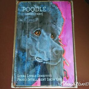 [ free shipping ] poodle ⑥ metal autograph plate [ new goods ]