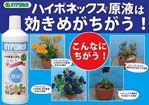 ハイポネックスジャパン 液体肥料 ハイポネックス原液 800ml_画像3