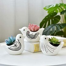 植木鉢 陶器 小鳥の多肉植物鉢 シンプル ヨーロッパ風 動物 かわいい 白（4号） (三点セット)_画像1