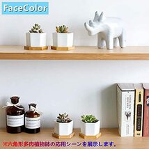 FaceColor 多肉植木鉢 陶器鉢 サボテン鉢 ミニ鉢 鉢 ミニ植物適用 セラミックホワイト 観葉植物ポット 穴付き 鉢植え インテリア ベランダ_画像4