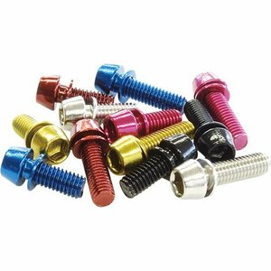 FF-R stainless steel color bolt *M6×20*6 pcs insertion [TL-109F-620] Gold 