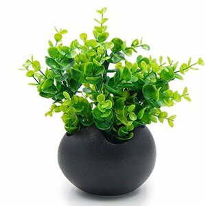 TOSSOW 植木鉢 陶器鉢 卵形 多肉植物 サボテン鉢 ハーブ プランター容器 おしゃれ プレゼント ミニ