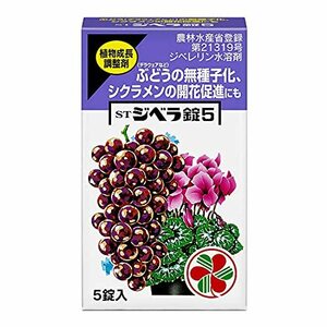 住友化学園芸 植物成長調整剤 ジベラ錠5 錠剤 5個入