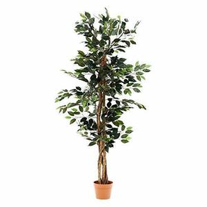 不二貿易 フェイクグリーン 観葉植物 幅60×奥行60×高さ150cm グリーン 大型 フィカスA 52661
