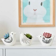 植木鉢 陶器 小鳥の多肉植物鉢 シンプル ヨーロッパ風 動物 かわいい 白（4号） (三点セット)_画像2