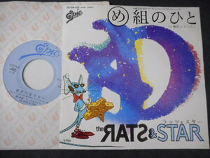 6148【EP】ラッツ&スター RATS＆STAR／め組のひと／彼氏になりたい