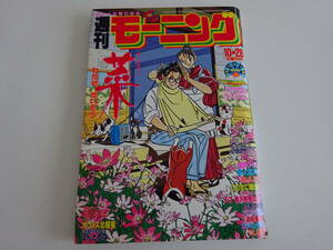 当時物　週刊モーニング　雑誌　1993年45号　わたせせいぞう　菜