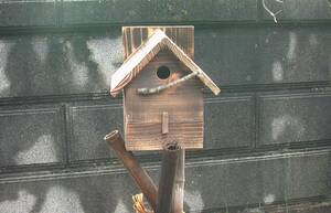  triangle roof bird house nest box 