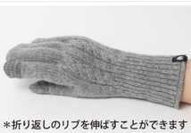 [新品]男女兼用/手袋/グローブ Daily russetディリーラシッ卜 iTouch Glove CABLEアイタッチ グローブ ケーブル フリーサイズ _画像4