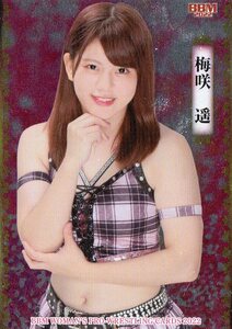 22 BBM 女子プロレス 梅咲遥 インサートカード(SP5）