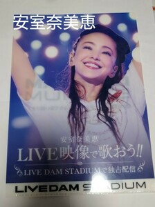 LIVE DAM STADIUM 安室奈美恵　クリアファイル【非売品】