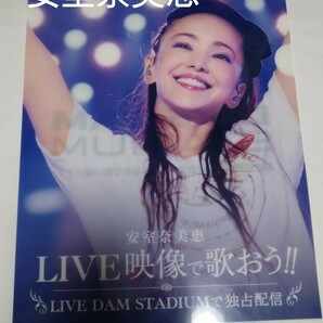 LIVE DAM STADIUM 安室奈美恵　クリアファイル【非売品】